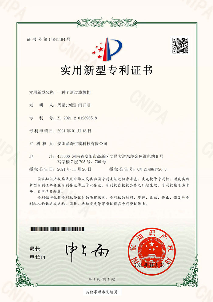 一种Y形过滤机构1